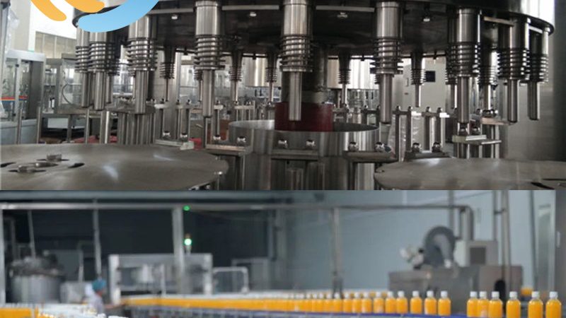 果蔬加工设备售后与质保：本质区别与选择要点