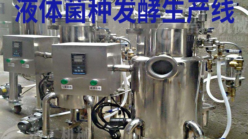 全自动食品机械型号怎么选